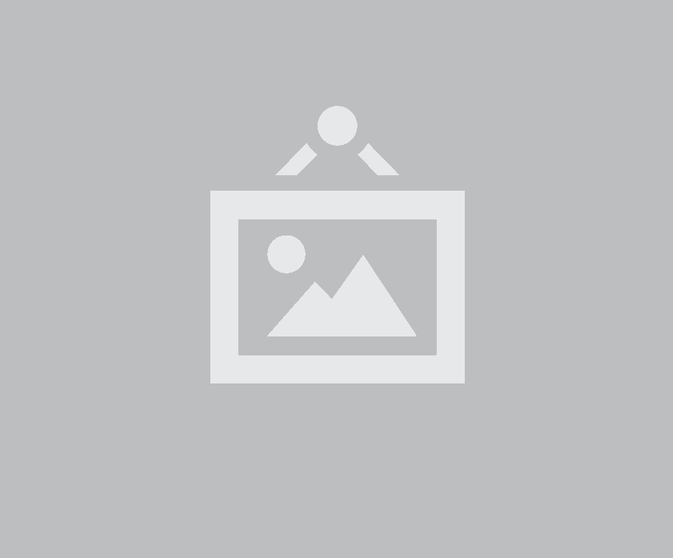 Lunch & Learn (PMG and Goalden Consulting)